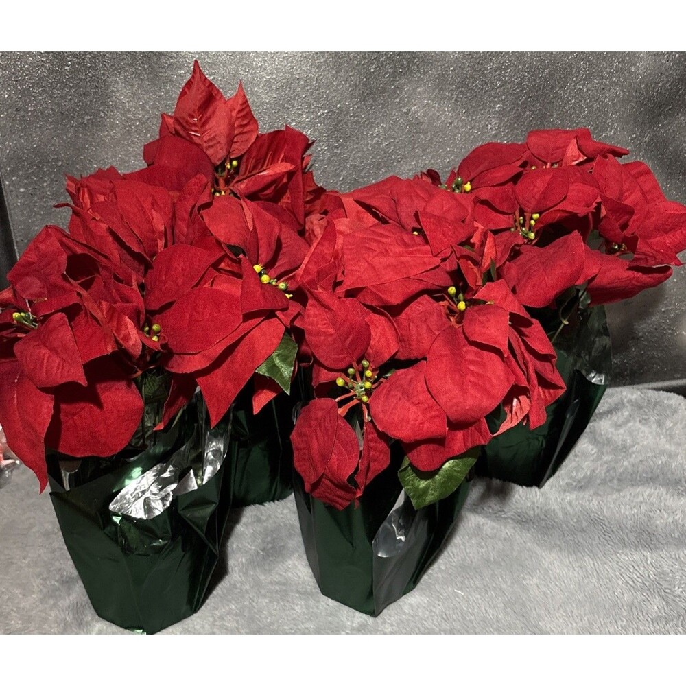 Ashland Red Poinsettia in Decorative Pot Large Lot Of 4